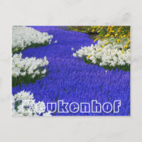 Flowers at Keukenhof, white and purple