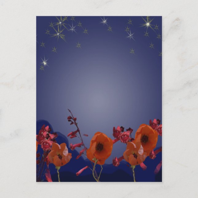Flowers at night Postcard (Front)