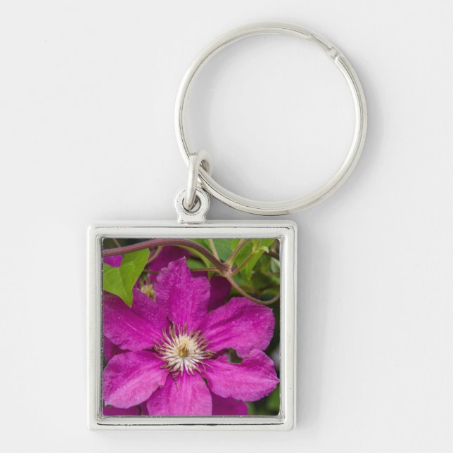 Flowers At Robinette's Apple Haus & Gift Barn Keychain (Front)
