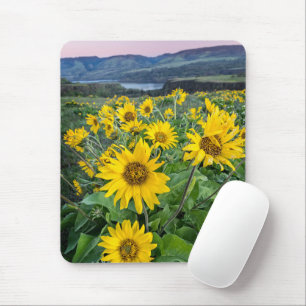 Flowers Balsomroot Columbia River, Oregon Mouse Pad