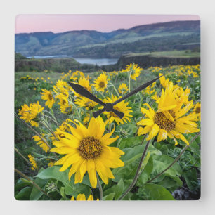 Flowers Balsomroot Columbia River, Oregon Square Wall Clock