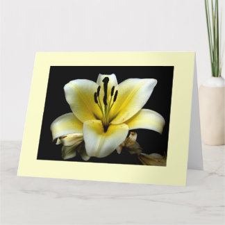 Flowers Big Greeting Card