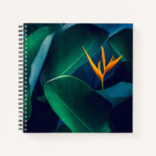 Flowers   Bird of Paradise Notebook