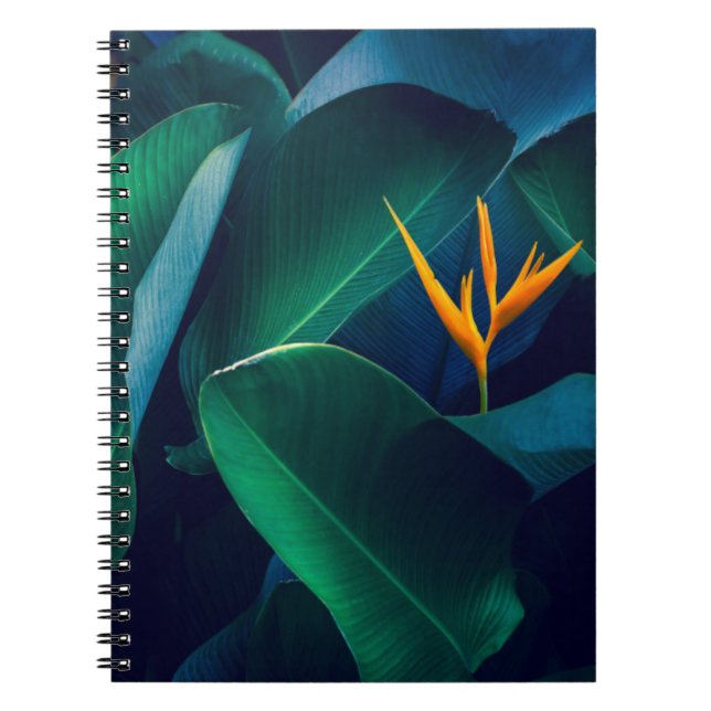 Flowers | Bird of Paradise Notebook (Front)