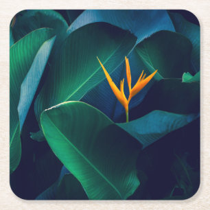 Flowers   Bird of Paradise Square Paper Coaster