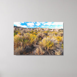 Flowers Blooming Sagebrush California Canvas Print