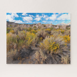 Flowers   Blooming Sagebrush California Jigsaw Puzzle