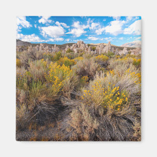Flowers Blooming Sagebrush California Magnet