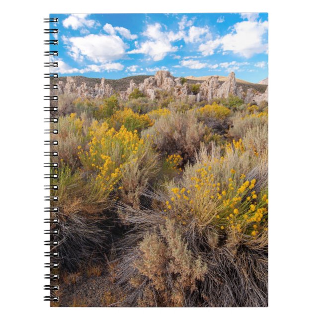 Flowers | Blooming Sagebrush California Notebook (Front)
