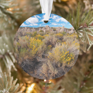 Flowers   Blooming Sagebrush California Ornament