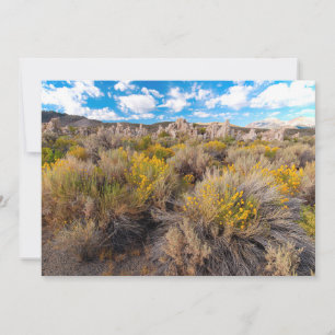 Flowers   Blooming Sagebrush California Thank You Card