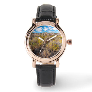 Flowers   Blooming Sagebrush California Watch