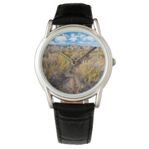 Flowers   Blooming Sagebrush California Watch