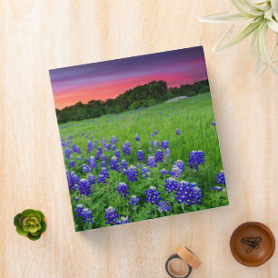 Flowers Bluebonnets at Sunset Texas Binder