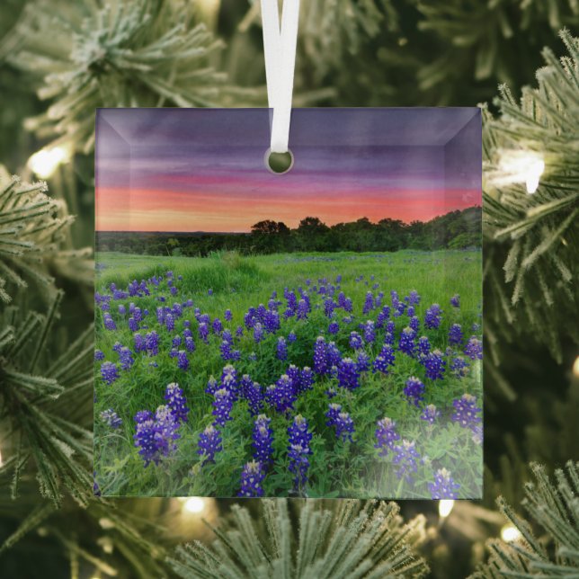 Flowers | Bluebonnets at Sunset Texas Glass Ornament (Insitu)