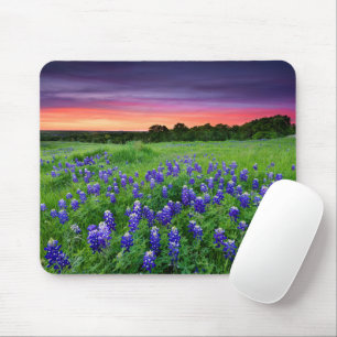 Flowers Bluebonnets at Sunset Texas Mouse Pad