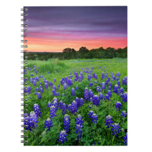 Flowers Bluebonnets at Sunset Texas Notebook