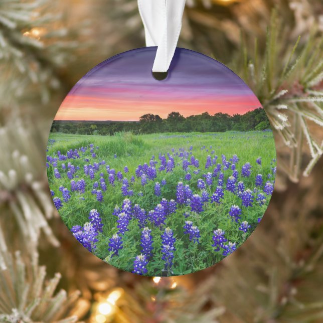 Flowers | Bluebonnets at Sunset Texas Ornament (Tree)