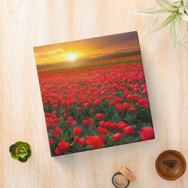 Flowers | Botanical Garden Holland Binder (In Situ)