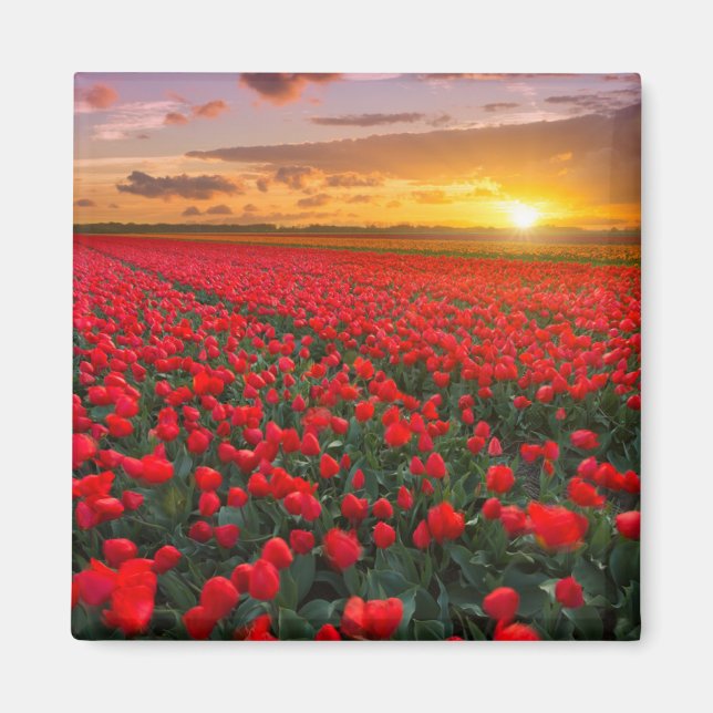 Flowers | Botanical Garden Holland Magnet (Front)