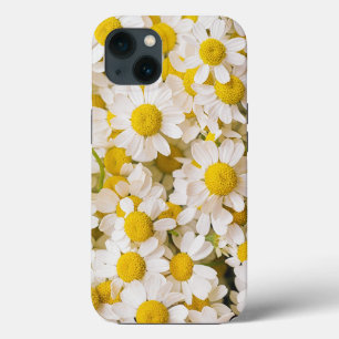 Flowers Bunch of Chamomiles iPhone 13 Case