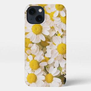 Flowers Bunch of Chamomiles iPhone 13 Case
