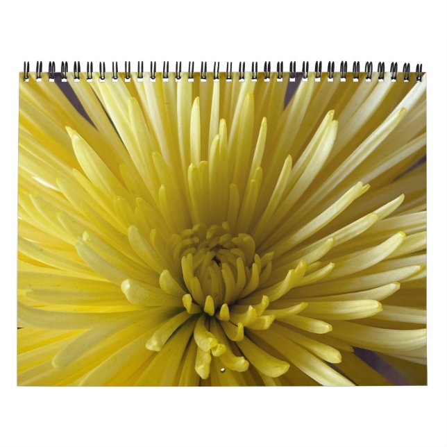 Flowers Calendar (Cover)