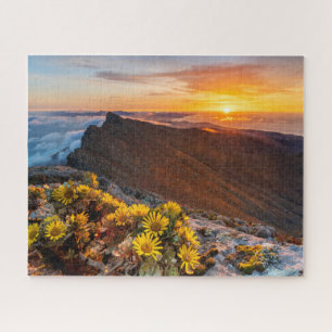 Flowers   Canary Islands, Spain Jigsaw Puzzle