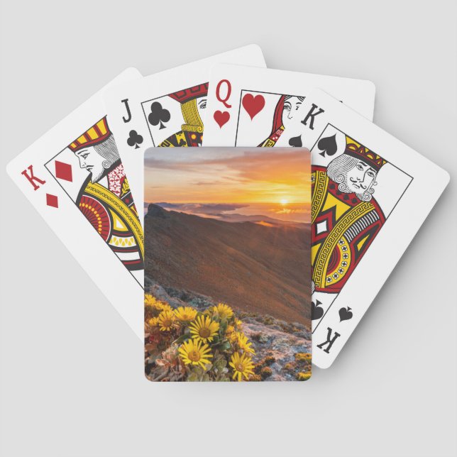 Flowers | Canary Islands, Spain Playing Cards (Back)