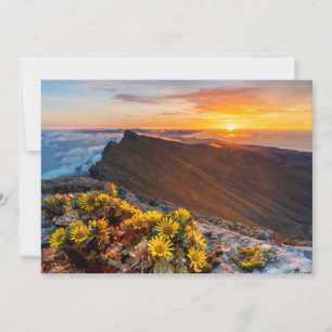 Flowers Canary Islands, Spain Thank You Card