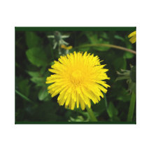 flowers canvas print