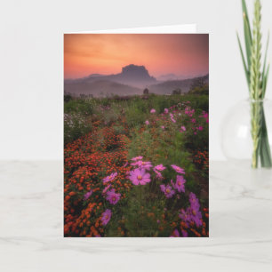 Flowers Chiang Dao, Chiang Mai, Thailand Card