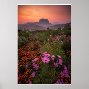 Flowers   Chiang Dao, Chiang Mai, Thailand Poster