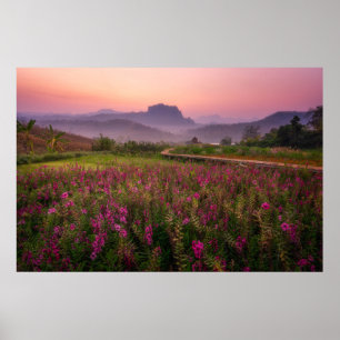 Flowers   Chiang Dao, Chiang Mai, Thailand Poster