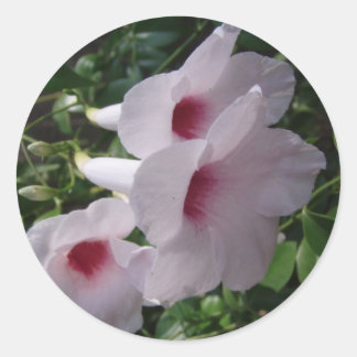 Flowers Classic Round Sticker