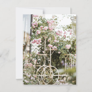 Flowers Climbing Roses Postcard