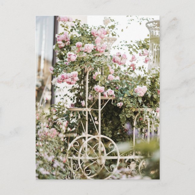 Flowers Climbing Roses Postcard (Front)