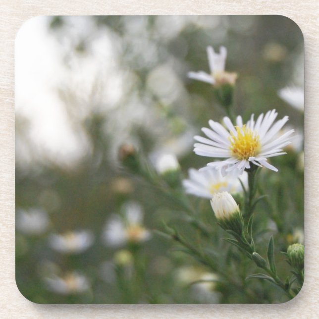 Flowers Coaster (Front)