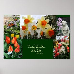 Flowers "Consider the lilies of the field" poster