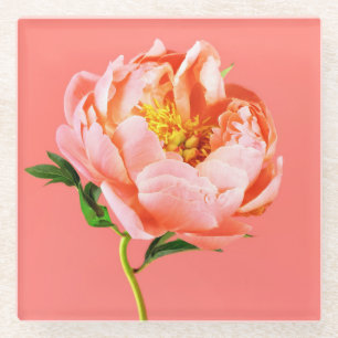 Flowers   Coral Peony Blossom Glass Coaster