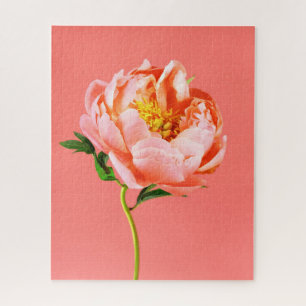 Flowers Coral Peony Blossom Jigsaw Puzzle