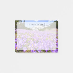 Flowers Crocus Pirin Mountain Park Bulgaria Post-it Notes