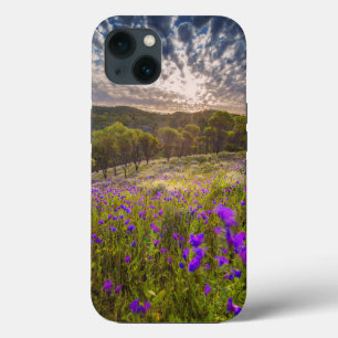 Flowers   Flinders Ranges Australia iPhone 13 Case