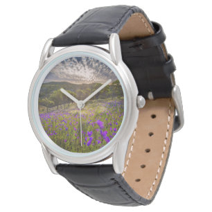 Flowers Flinders Ranges Australia Watch