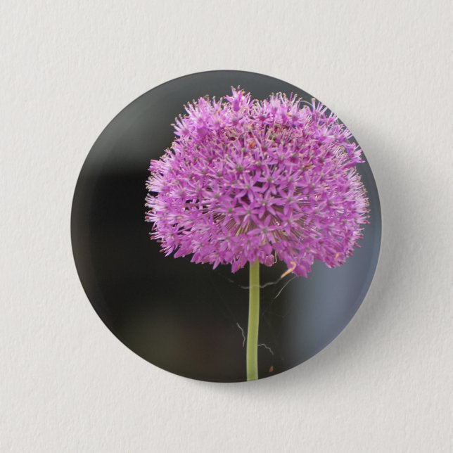 Flowers for All 2 Inch Round Button (Front)