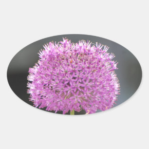 Flowers for All Oval Sticker