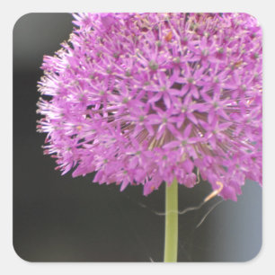 Flowers for All Square Sticker