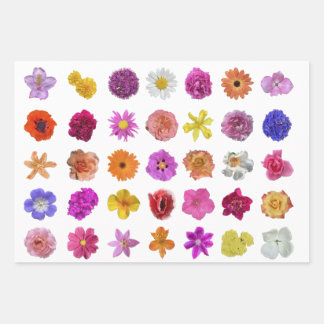 FLOWERS GALORE! Wrapping Paper