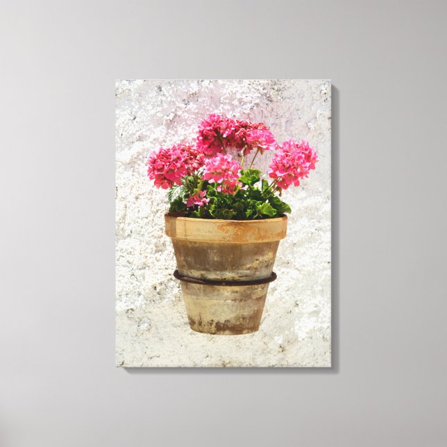 Flowers | Geranium In Flower in Pot Canvas Print (Front)