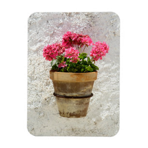 Flowers Geranium In Flower in Pot Magnet